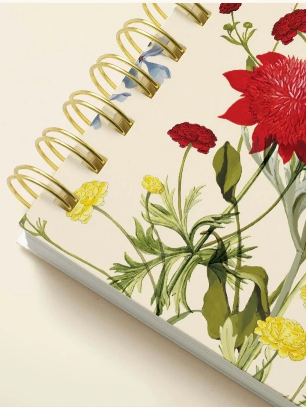 Amy Jenkins Floral Mid-Year Planner - Cream & Red Botanical Cover